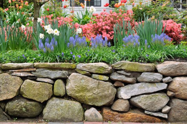 Stone Wall Hardscaping in Asheville