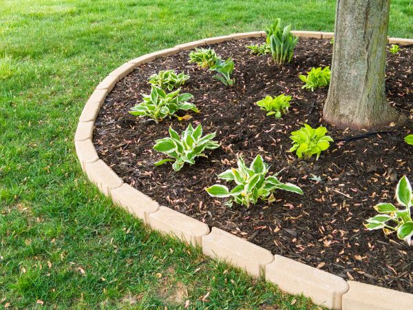 Stone Border Installation in Asheville