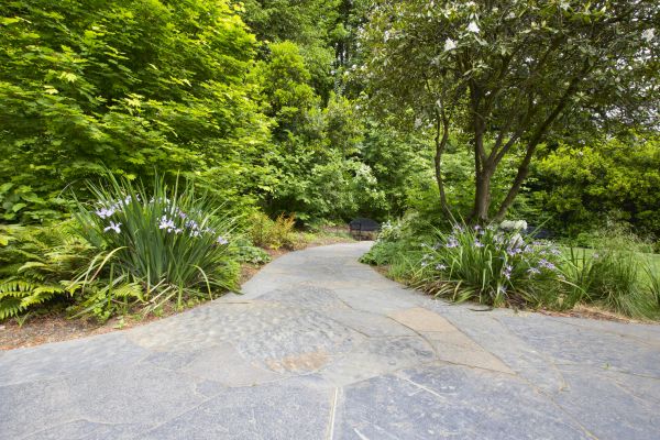 Stone Hardscape Service in Asheville
