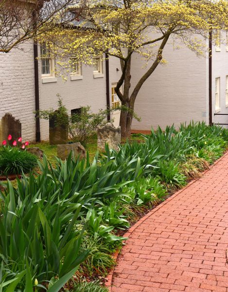 Brick Flatwork Repair in Asheville